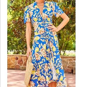 *NWT Hunter Bell Larson Dress
